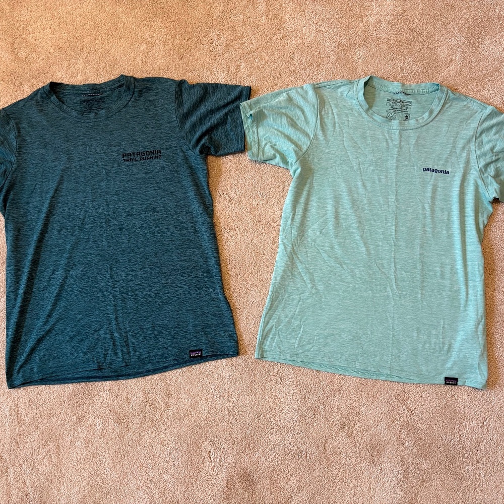 Patagonia Capilene cool Daily Graphic T | 2 for $45